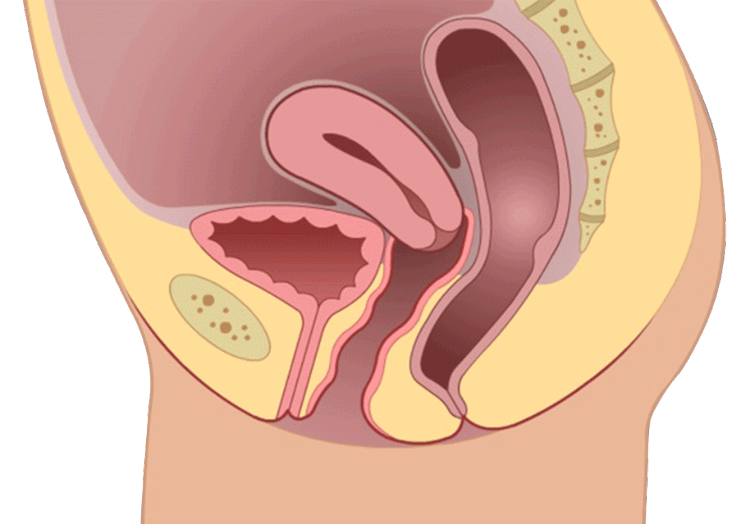 1659594512796542.png 图片8.png