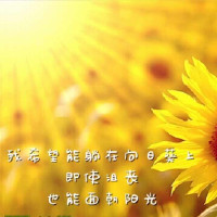 1668407705359516.png 图片1.png