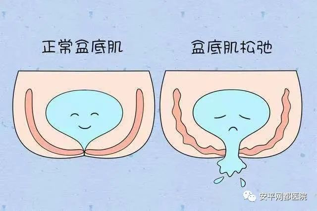 1672727390738403.png 图片3.png