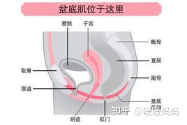 1679369539850439.png 图片1.png