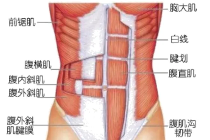 1679539081218682.png 图片1.png