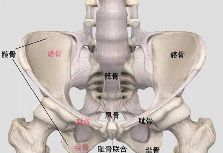 1679539110903411.png 图片3.png