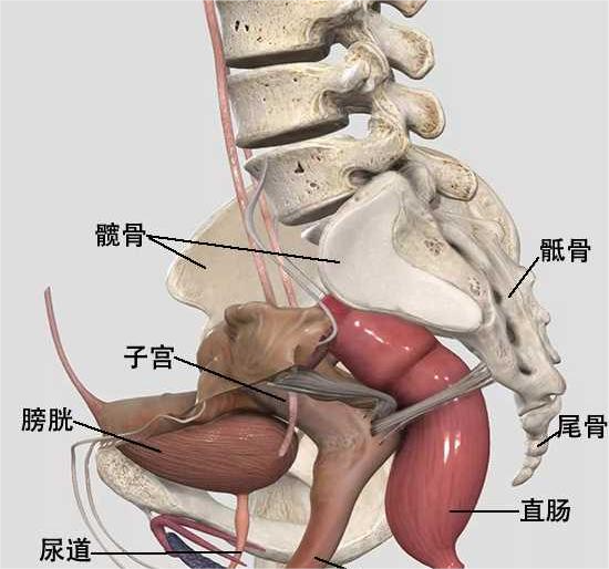 1679539120563686.png 图片4.png