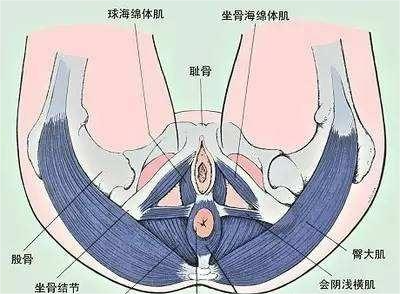 1679539149256165.png 图片5.png