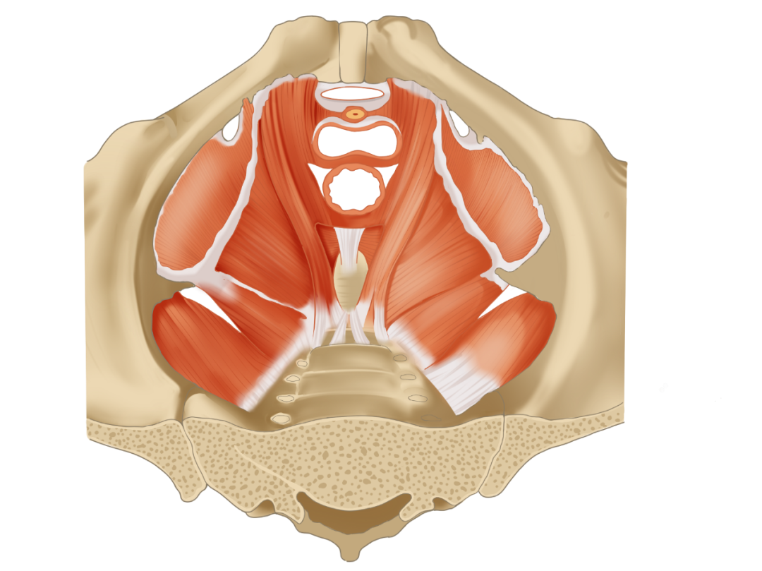 1681119310648058.png 图片2.png