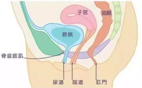 图片12.png