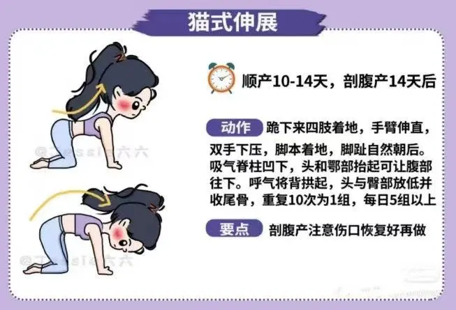 图片6.png