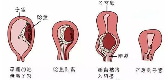 微信截图_20220207174801.png