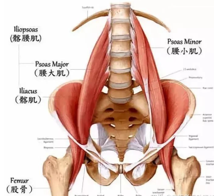 1770175018557153.png 微信截图_20220414115455.png